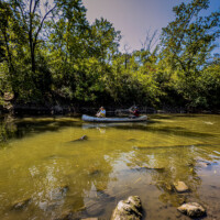 2025 Honorable Mention - Paddling the Little Cal, Kickapoo Woods by John Slivka