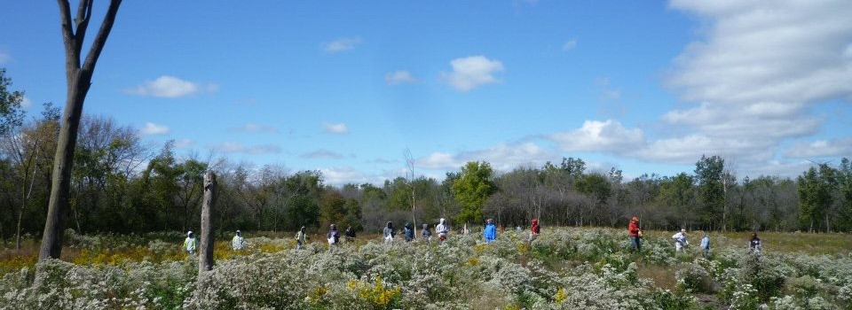 Kickapoo planting native seeds