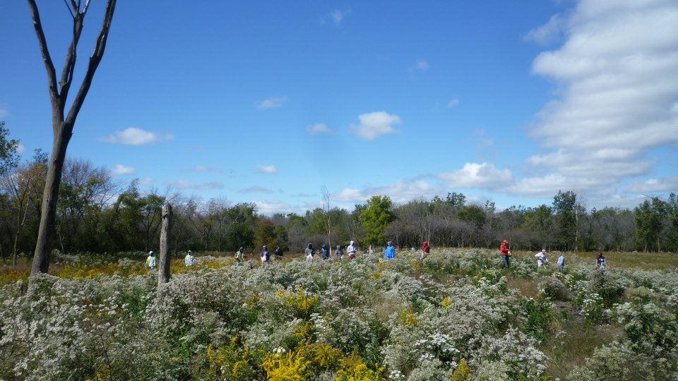 Kickapoo planting native seeds