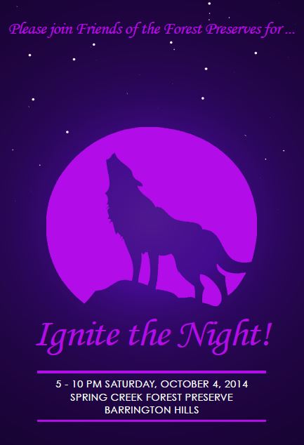 Ignite the Night 2014 Invite