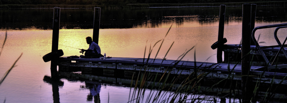People in the Preserves: Fisherman, Busse Lake near Elk Grove Village, Wesley Iversen
