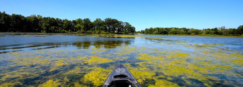 2015 Photo Contest Winner Second Place- Canoe, Busse Lake near Elk Grove Village, Julio Guerrero