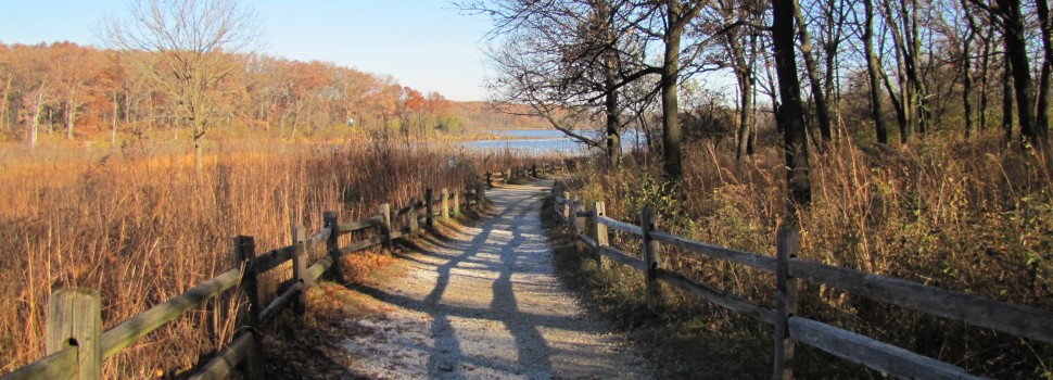 Runner up: Nature trail, Little Red Schoolhouse Nature Center near Palos Hills, Mary White