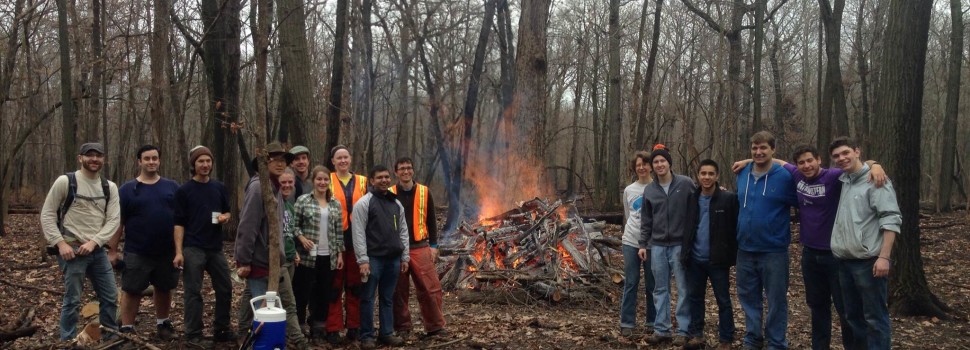 Community members join the Centennial Volunteers program at Somme Woods to remove invasive species.