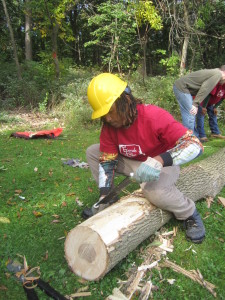 Rico Harris removes the bark from a dying ash tree to create a log for a trail in Dan Ryan Woods.