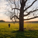 2015 Photo Contest Winner "People in the Preserves"- Steward Jim Voris walking during an early spring day, Galloping Hill Prairie in the Spring Creek forest preserve near Barrington, Jim Root