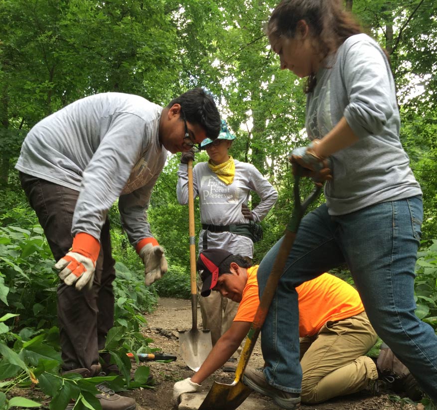 Friends of the Forest Preserve members working on a trail