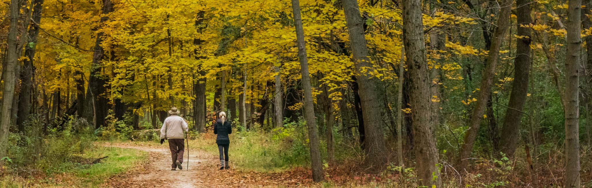 Photograph of 2 hikers walking on a trail with trees in fall color