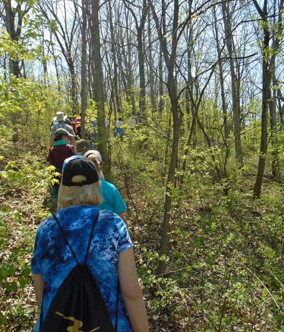 Photograph of hikers on a trail