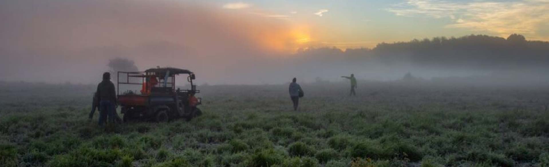 workers in a misty field at sunrise