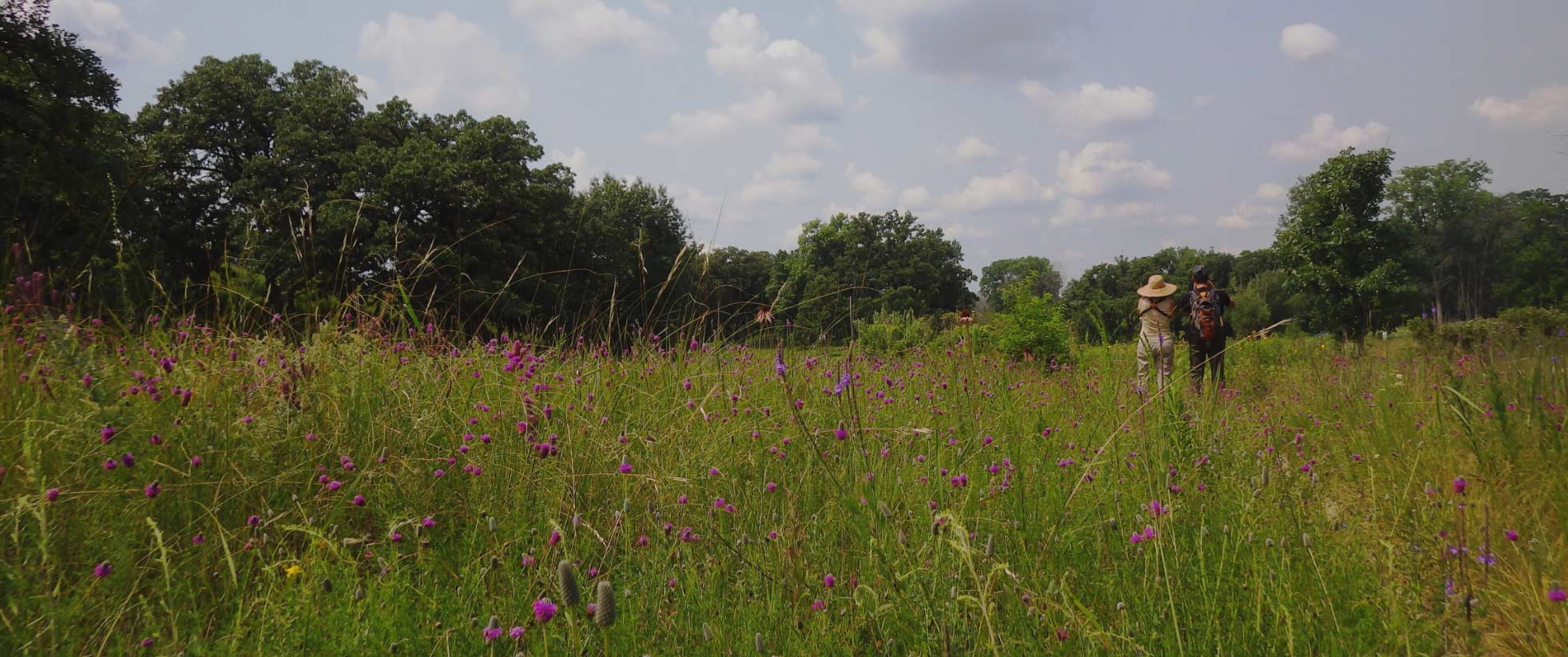 Photograph of 2 people standing in a prairie with wildflowers