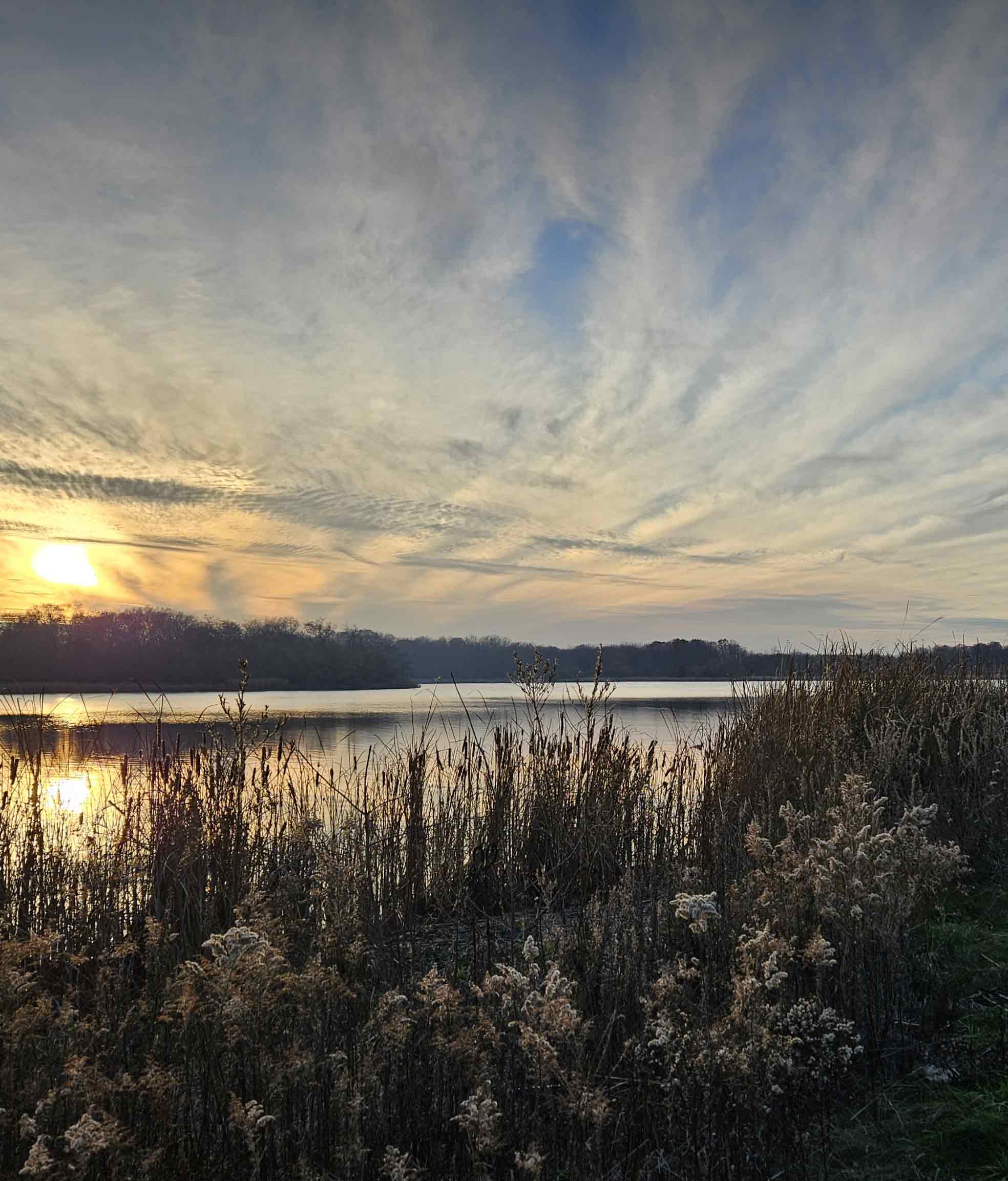 Wetlands pond at sunset