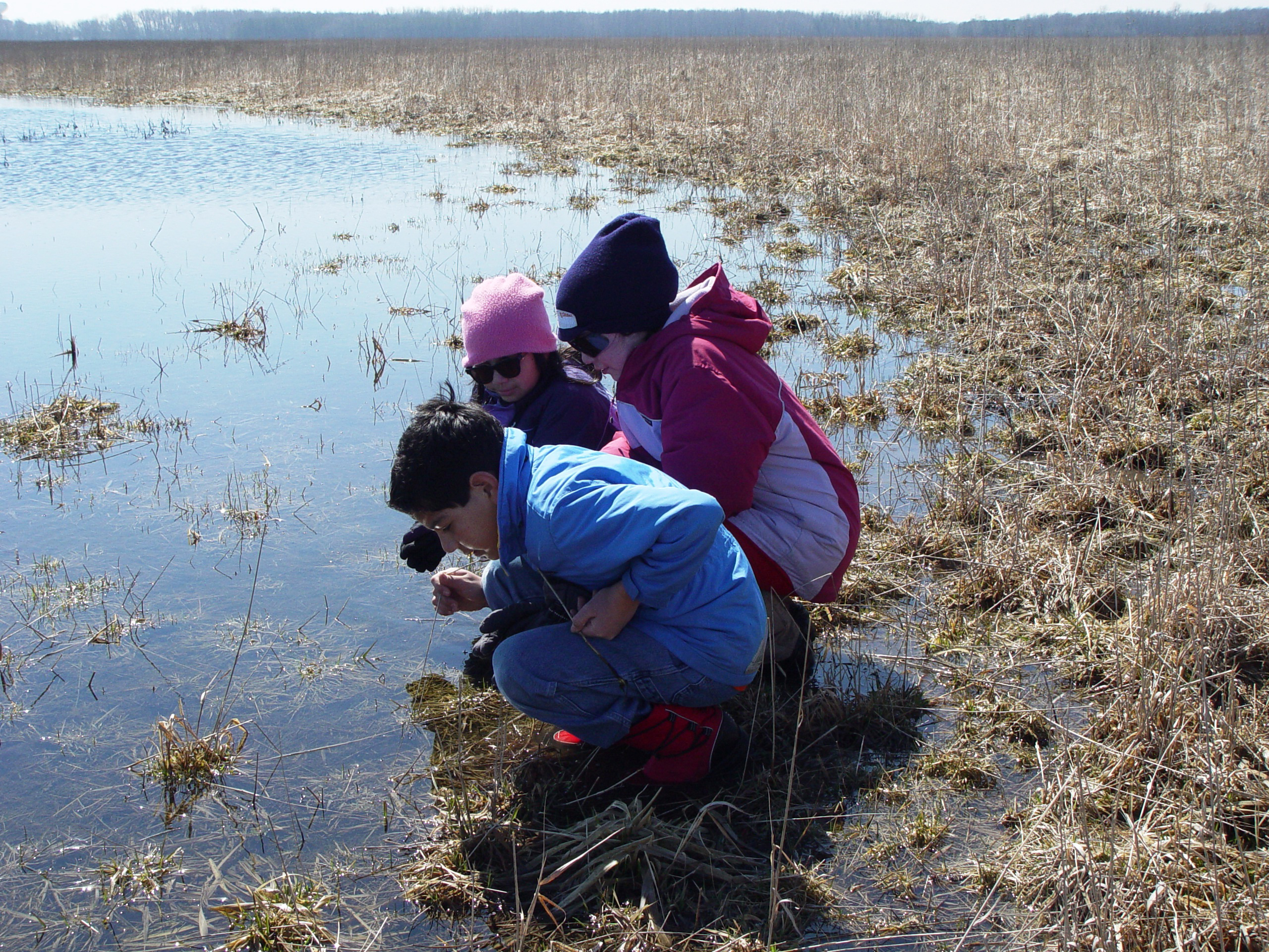 2010 Photo Contest Runner Up: Dick Riner, Bartel Grassland near Matteson