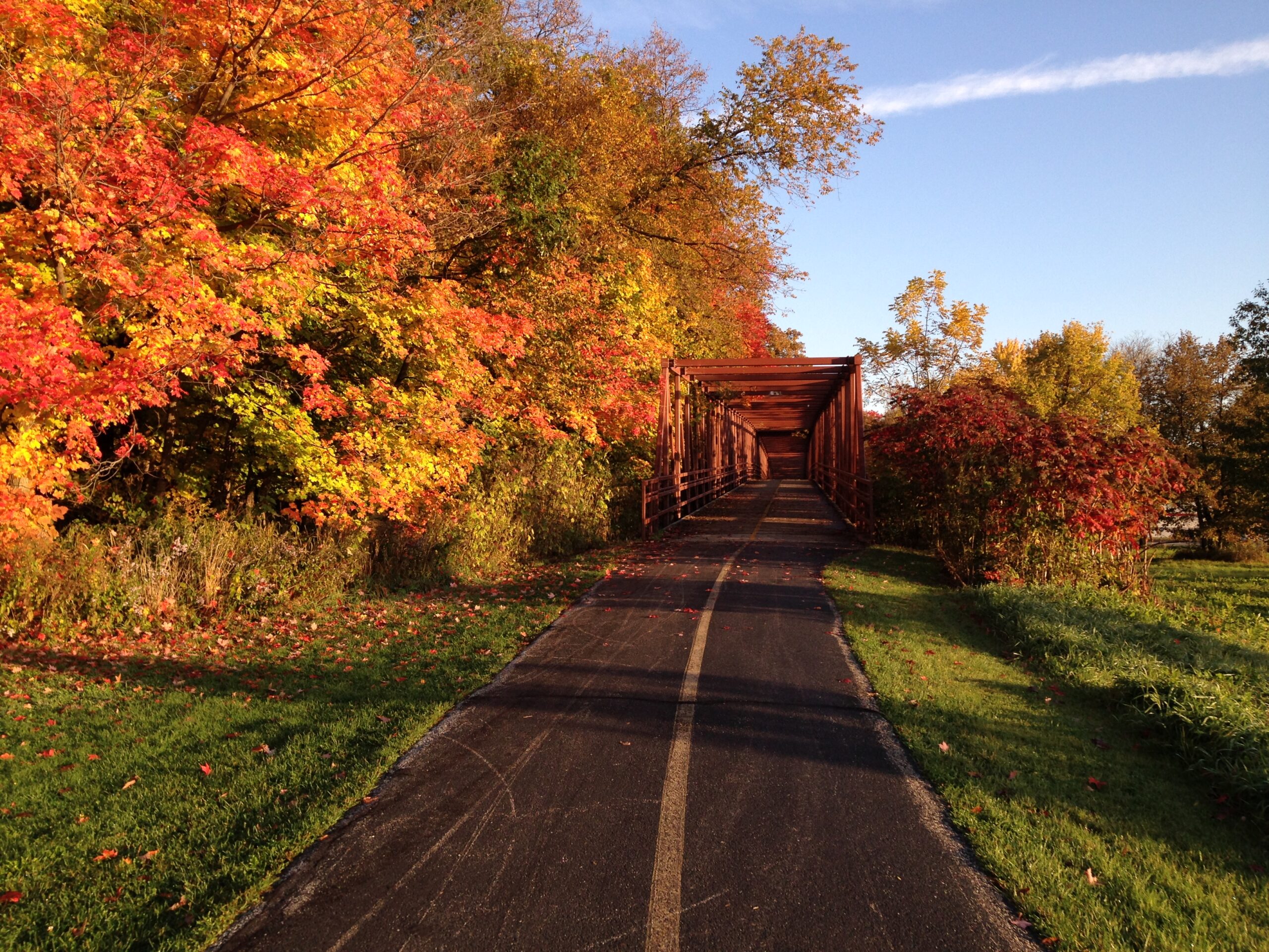 2015 Photo Contest Runner-up-Bridge, Busse Woods near Elk Grove Village, Dave Simmons