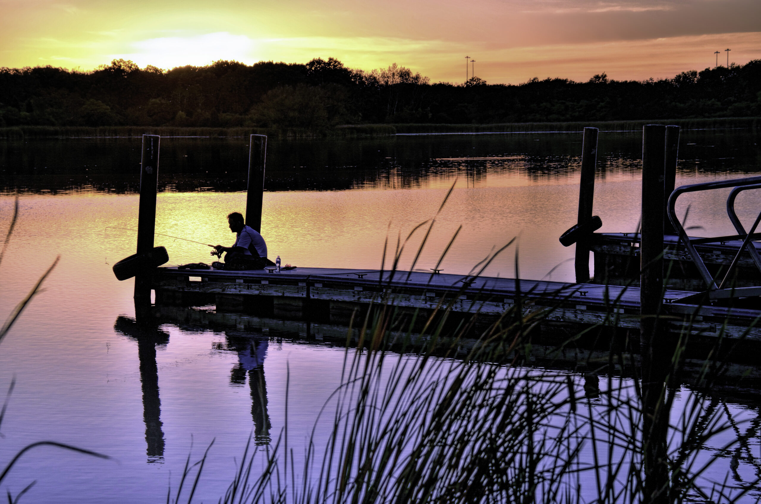 Supporters Celebrate ‘Victory for People and Nature’ as Forest Preserve Tax Hike Appears a Winner – Friends of the Forest Preserves