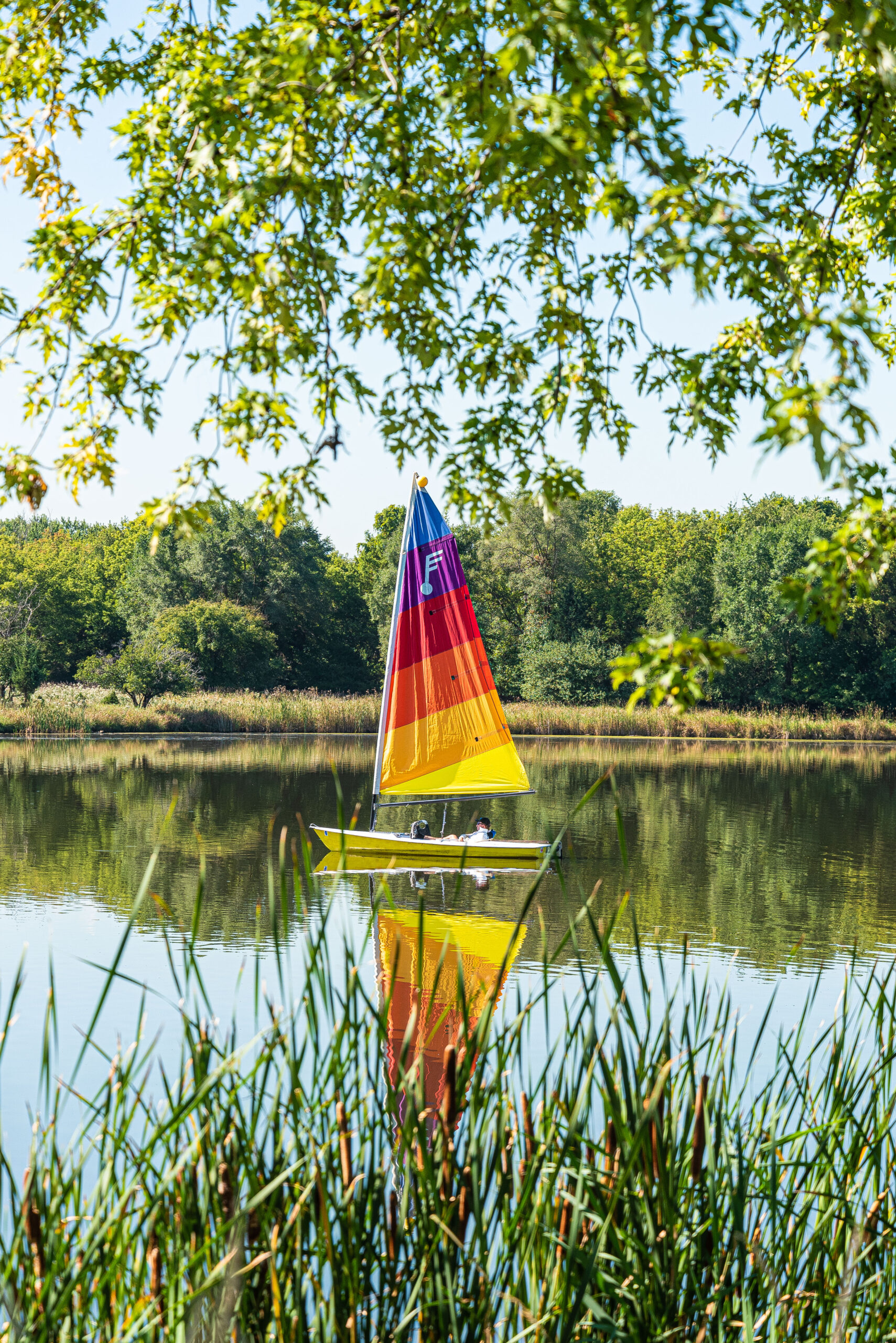 2019 Runner up – “Row, row, row your boat” at Busse Woods in Elk Grove Village by Julio Guerrero