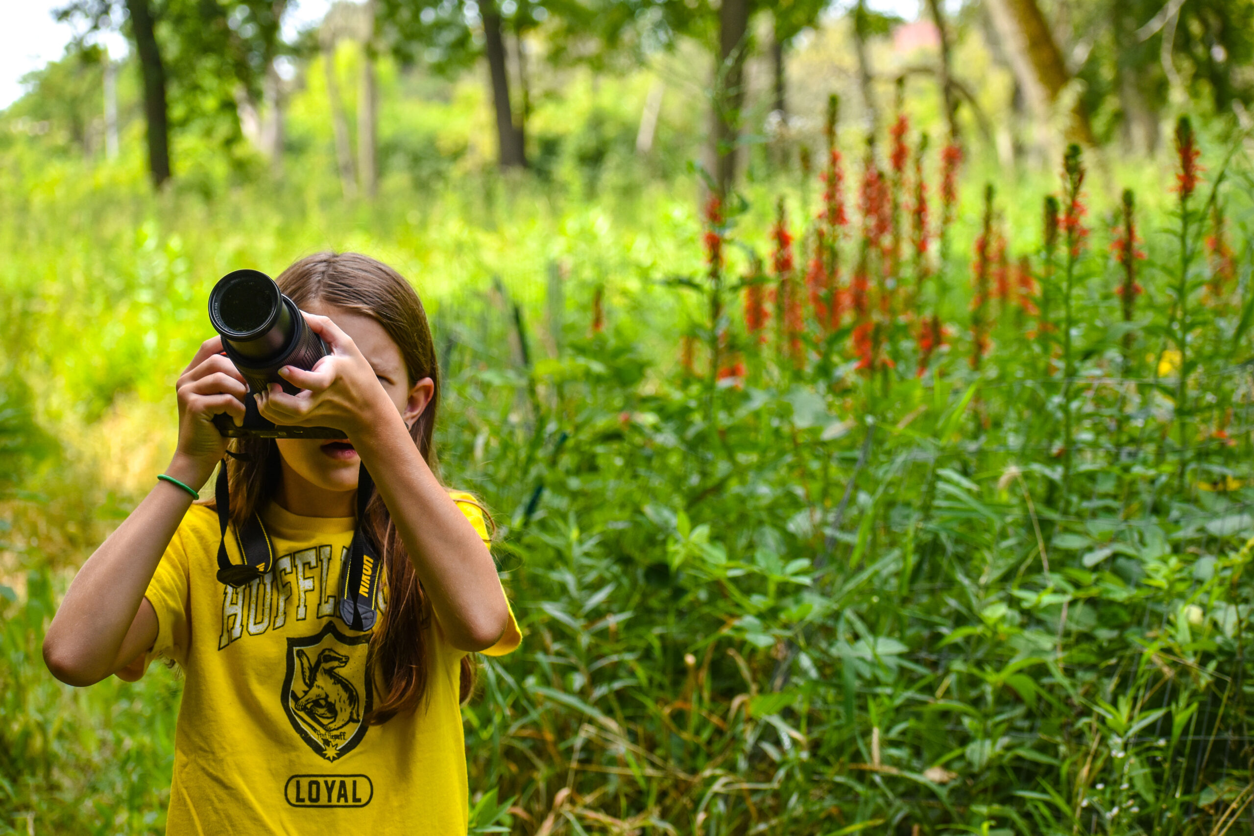 2019 Runner up -“Young photographer with rare cardinal flowers” at McCormick Woods in North Riverside. Photo by Patrick Callaghan