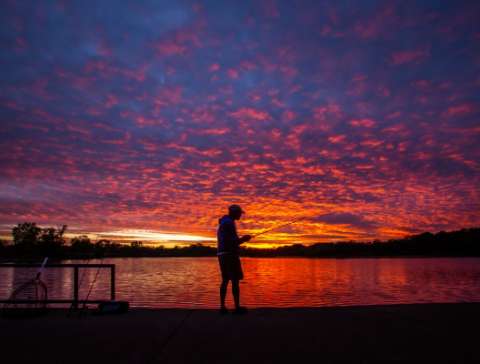 Fishing in Busse Woods by Maria Sacha