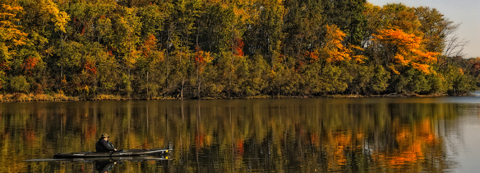 Fishing on 40 Lakes – Friends of the Forest Preserves