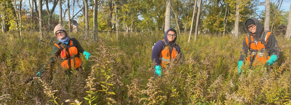 Cook County Forest Preserves: Is It Time For a Funding Referendum? – Friends of the Forest Preserves