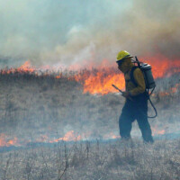 2010 Photo Contest Winner Third Place: Dick Riner, Bartel Grassland near Matteson
