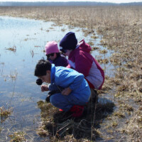 2010 Photo Contest Runner Up: Dick Riner, Bartel Grassland near Matteson