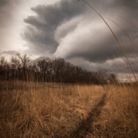 2013 Photo Contest Winner First Place: Bluff Spring Fen near Elgin, Kevin Rodde