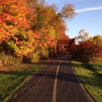 2015 Photo Contest Runner-up-Bridge, Busse Woods near Elk Grove Village, Dave Simmons