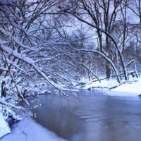 2009 Photo Contest Winner Third Place – Bunker Hill Woods by William Callebert of Des Plaines