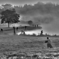 2023 Best People – “Busy Morning in the Fog,” Busse Woods, Elk Grove Village by Gary Aleksiak