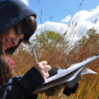 2012 Photo Contest Runner up “Calumet Is My Backyard” student monitoring at Beaubien Woods near Chicago by Laura Milkert