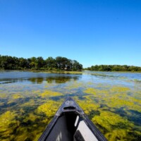 2015 Photo Contest Winner Second Place Canoe – Busse Lake near Elk Grove Village, Julie Guerrero