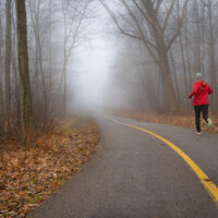 2020 Honorable mention – “Dashing through the fog,” Busse Woods, Elk Grove Village by Michelle Puszka