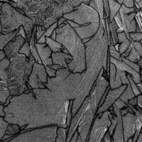 2019 Runner up – “Ice on pond BW” at Chicago Botanic Garden in Glencoe by David Cohen