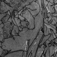 2019 Runner up – “Ice on pond BW” at Chicago Botanic Garden in Glencoe by David Cohen