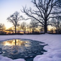 2017 Runner-Up “Last snow” at Bunker Hill Forest Preserve by Joel Porterfield