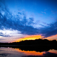 2020 Second Place Winner – “Like an eagle,” Busse Woods, Elk Grove Village by Maria Sacha
