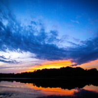 2020 Second Place Winner – “Like an eagle,” Busse Woods, Elk Grove Village by Maria Sacha