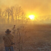 2016 Photo Contest Winner Best People in the Preserves – Wolf Road Prairie, Tyrone Murdo