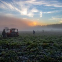 2022 First Place Winner – “Planting Team on a Foggy Fall morning,” Busse Woods, Elk Grove Village by Gary Aleksiak