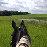2014 Photo Contest Runner Up: Rider on Galloping Hill, Spring Creek near Barrington Hills, Jane Clement