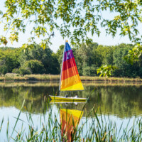 2019 Runner up – “Row, row, row your boat” at Busse Woods in Elk Grove Village by Julio Guerrero