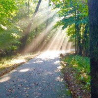 2020 Best Youth Photographer – “Running in the sunlight,” Linne Woods, Morton Grove by Arwa Ghomrawi