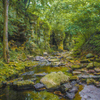 2017 Photo Contest Winner – First Place “Sagawau Canyon” at Sagawau Canyon Nature Preserve by Bud Dyke