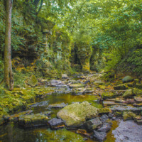 2017 Photo Contest Winner – First Place “Sagawau Canyon” at Sagawau Canyon Nature Preserve by Bud Dyke