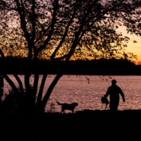 2019 Second Place Winner – “Silhouette” at Busse Woods in Elk Grove Village by Julio Guerrero