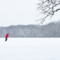 2018 Runner up – “Spot of color – cross country skier” by Fidencio Marbella at Thatcher Woods in River Forest