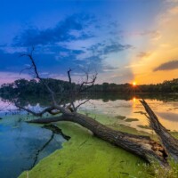 2022 Honorable Mention – “Sunset after a Storm,” Skokie Lagoons, Glencoe by Monika Benitez