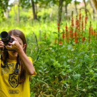 2019 Runner up -“Young photographer with rare cardinal flowers” at McCormick Woods in North Riverside. Photo by Patrick Callaghan