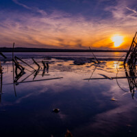 2024 Honorable Mention - “Sun of Saf,” Saganashkee Slough, Willow Springs by Josh Cupp